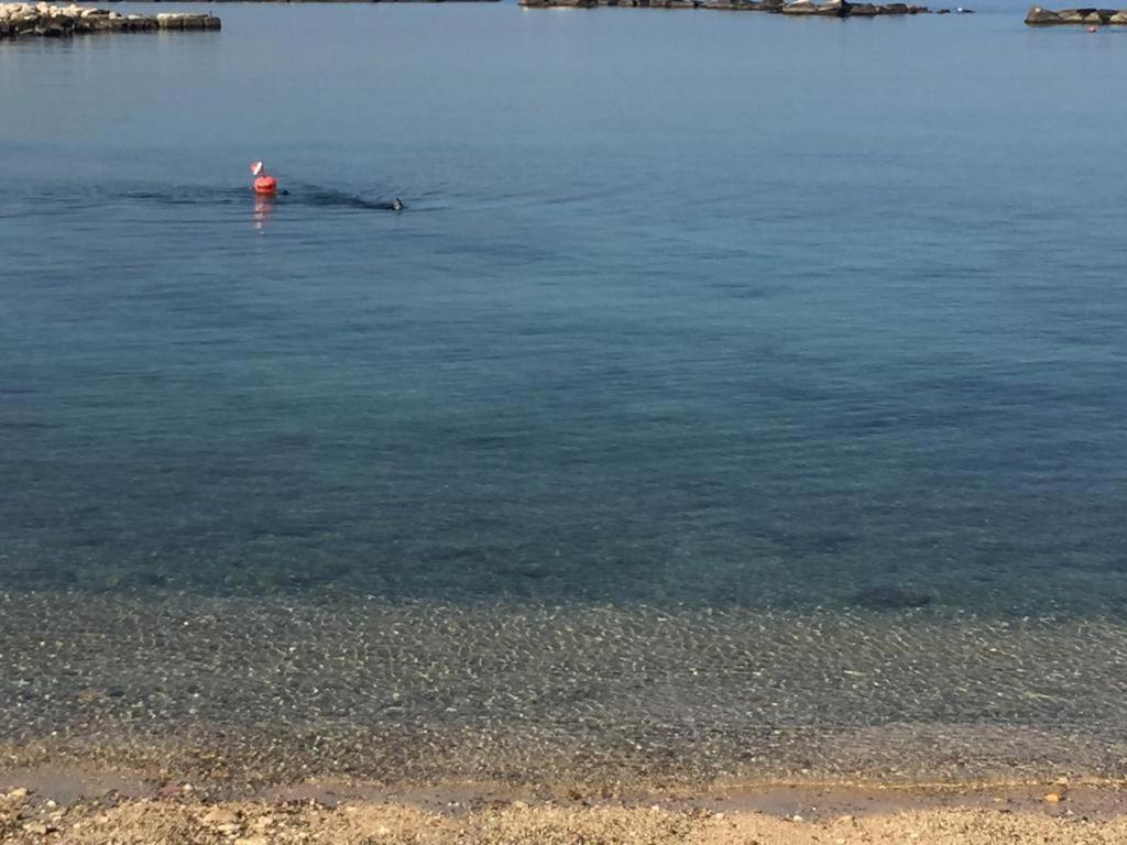 La Mia Terrazza Sul Mare - Mared'Amare Apartman Bari Kültér fotó